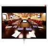 Проекционный экран Avtek Business 280 280x200 (1EVS58)