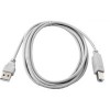 Кабель Cablexpert CC-USB2-AMBM-6