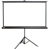 Проекционный экран Classic Solution Crux S 1:1 220x220