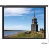 Проекционный экран CACTUS Professional Motoscreen CS-PSPM-124x221