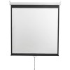 Проекционный экран Digis Optimal-D 248x189 DSOD-4304