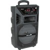 Колонка для вечеринок Eltronic EL8-10ch