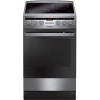 Кухонная плита Hansa FCCX58221