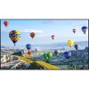 Информационная панель Panasonic TH-55SQ1W
