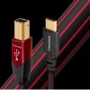 Кабель AudioQuest USB B to C - Cinnamon 1.5 м